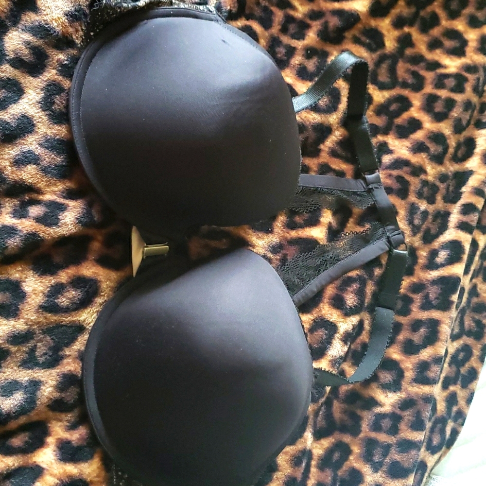 Torrid bra